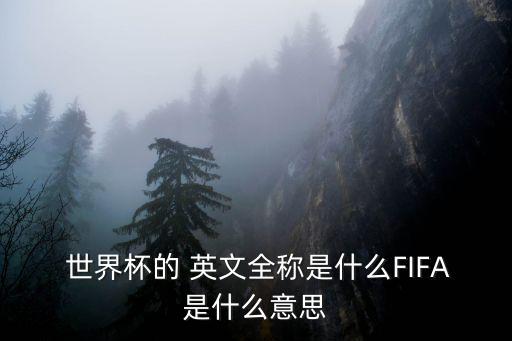 世界杯英文,國際足球聯合會:fifa每四年舉辦一次