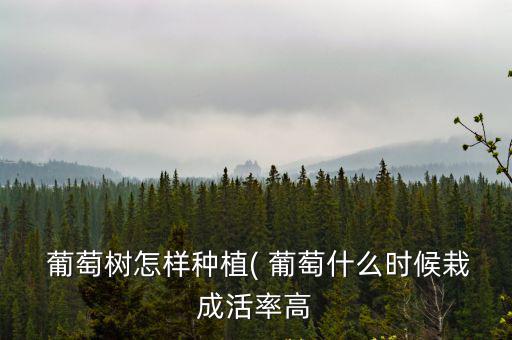  葡萄樹怎樣種植( 葡萄什么時(shí)候栽成活率高