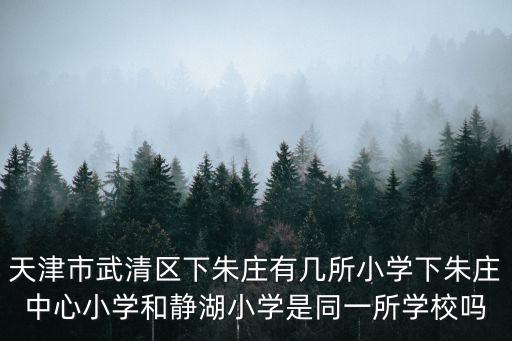 天津市武清區(qū)下朱莊有幾所小學(xué)下朱莊中心小學(xué)和靜湖小學(xué)是同一所學(xué)校嗎