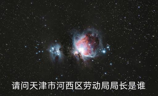 請問天津市河西區勞動局局長是誰