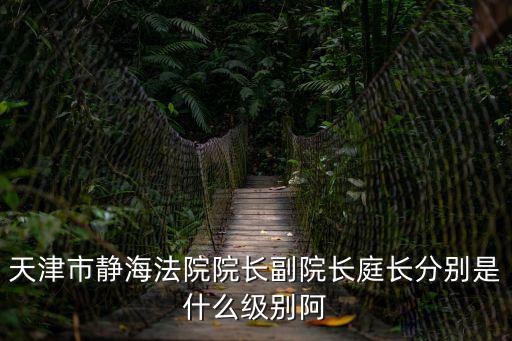 天津市一中級法院院長簡歷，王兆軍的人物簡介