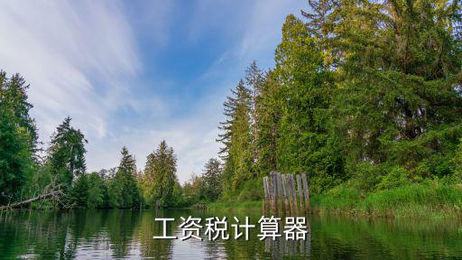 工資稅計(jì)算器