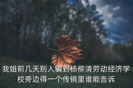 我姐前幾天別人騙到楊柳清勞動經(jīng)濟學(xué)校旁邊得一個傳銷里誰能告訴