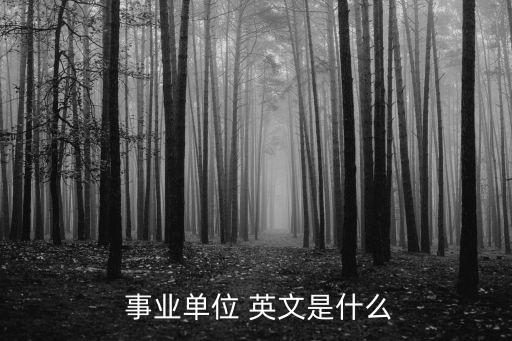  事業(yè)單位 英文是什么