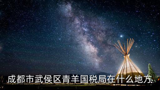 成都市武侯區青羊國稅局在什么地方