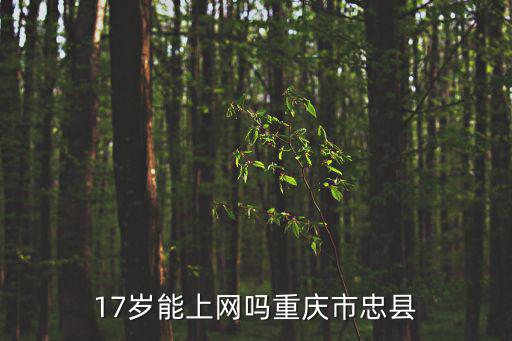 17歲能上網(wǎng)嗎重慶市忠縣