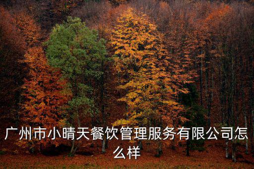 廣州市小晴天餐飲管理服務有限公司怎么樣