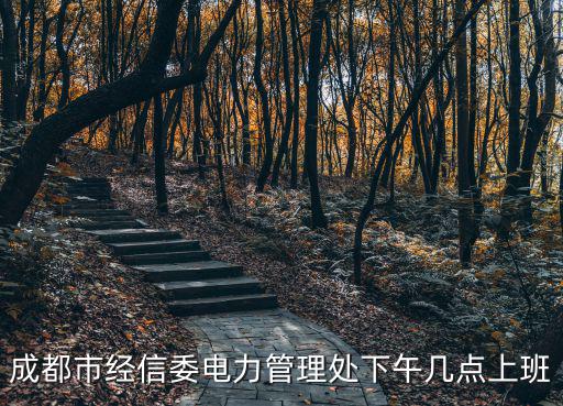 成都市經信委電力管理處下午幾點上班