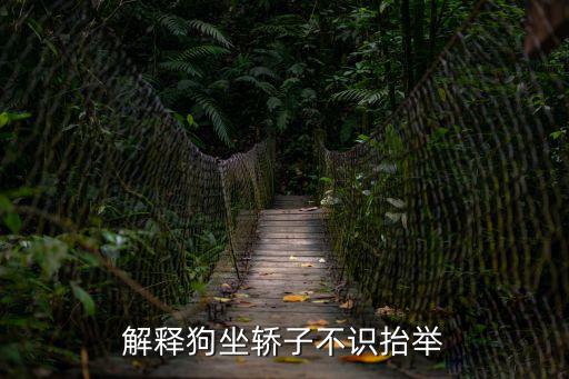 解釋狗坐轎子不識抬舉