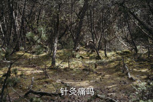  針灸痛嗎