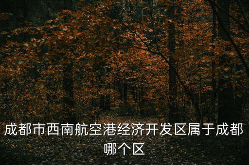 成都市西南航空港經濟開發區屬于成都哪個區