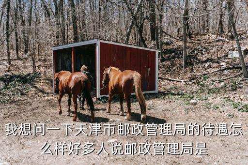 我想問一下天津市郵政管理局的待遇怎么樣好多人說郵政管理局是