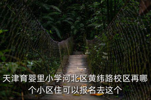 天津市河北區育嬰里歸哪個小區，天津河北區盛泰家園屬于育嬰里學片嗎誰知到育嬰里的學片房都有哪