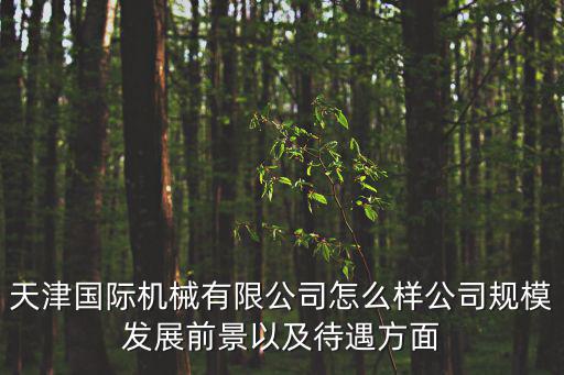 天津國際機械有限公司怎么樣公司規模發展前景以及待遇方面