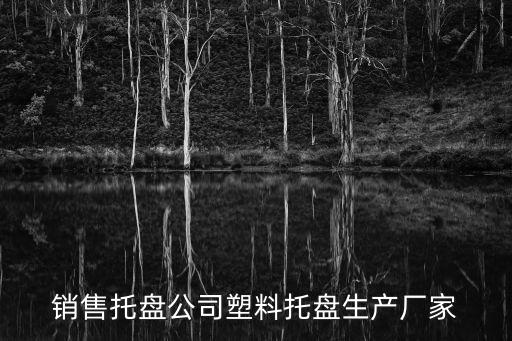 成都市塑料托盤廠家，四川成都哪里有求購塑料托盤的