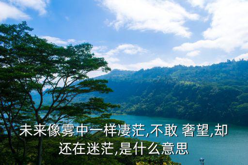 未來像霧中一樣凄茫,不敢 奢望,卻還在迷茫,是什么意思