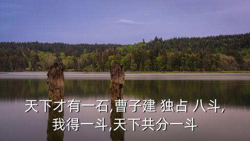 獨占八斗,曹子建:世界上只有一塊石頭我卻獨占八斗