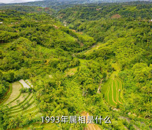 93年屬,農(nóng)歷雞年出生年份:1992年屬悠悠雞