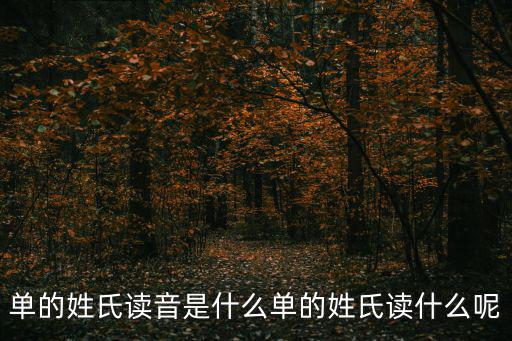 單的姓氏讀音是什么單的姓氏讀什么呢