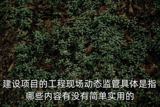 建設(shè)項(xiàng)目的工程現(xiàn)場(chǎng)動(dòng)態(tài)監(jiān)管具體是指哪些內(nèi)容有沒(méi)有簡(jiǎn)單實(shí)用的