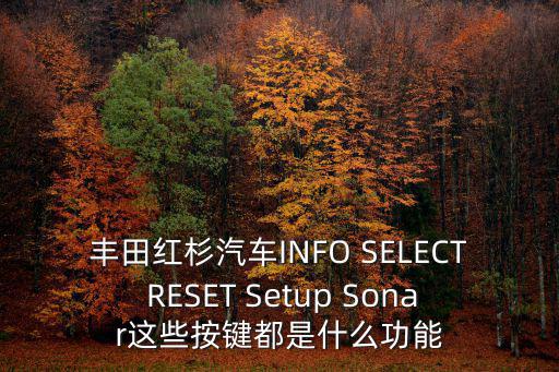 豐田紅杉汽車INFO SELECT RESET Setup Sonar這些按鍵都是什么功能