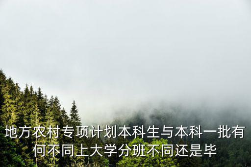 地方農村專項計劃本科生與本科一批有何不同上大學分班不同還是畢