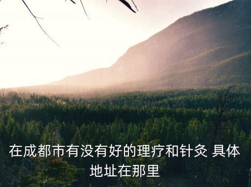 在成都市有沒有好的理療和針灸 具體地址在那里