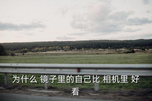 為什么 鏡子里的自己比 相機里 好看