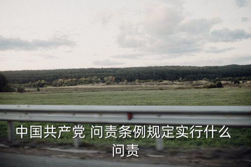 黨的問責工作應當堅持的原則