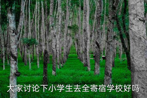 大家討論下小學生去全寄宿學校好嗎