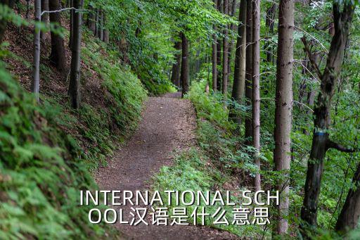 INTERNATIONAL SCHOOL漢語是什么意思