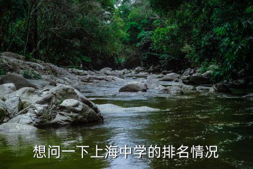 想問一下上海中學的排名情況