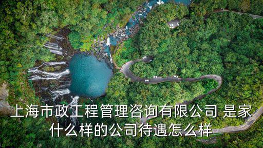 上海市政工程管理咨詢有限公司 是家什么樣的公司待遇怎么樣