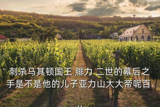 刺殺馬其頓國王 腓力 二世的幕后之手是不是他的兒子亞力山大大帝呢百...