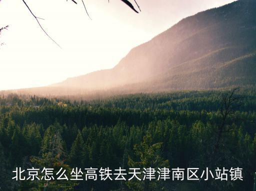 如何去天津市津南區小站，北京怎么坐高鐵去天津津南區小站鎮