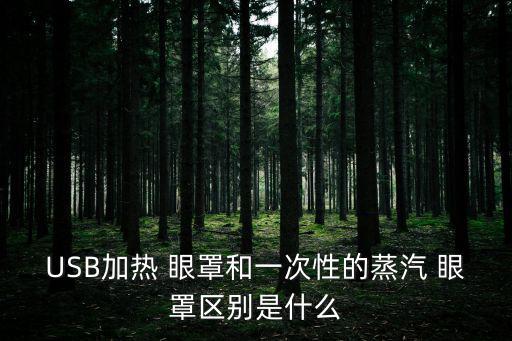 USB加熱 眼罩和一次性的蒸汽 眼罩區別是什么