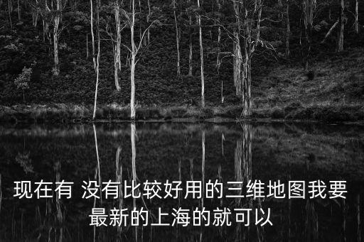現在有 沒有比較好用的三維地圖我要最新的上海的就可以