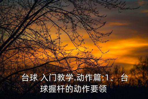 臺球入門,基礎臺球知多少?問與答（13）