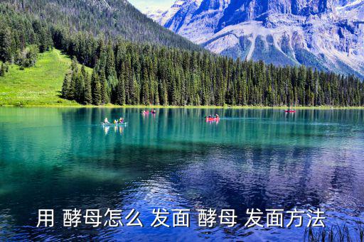 用 酵母怎么 發(fā)面 酵母 發(fā)面方法