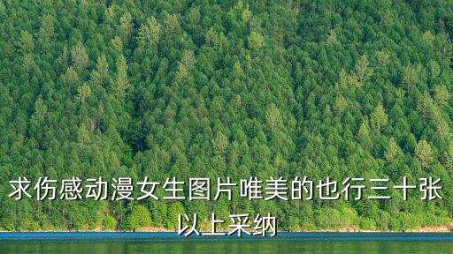求傷感動漫女生圖片唯美的也行三十張以上采納
