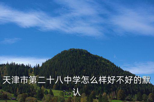 天津市第二十八中學怎么樣好不好的默認