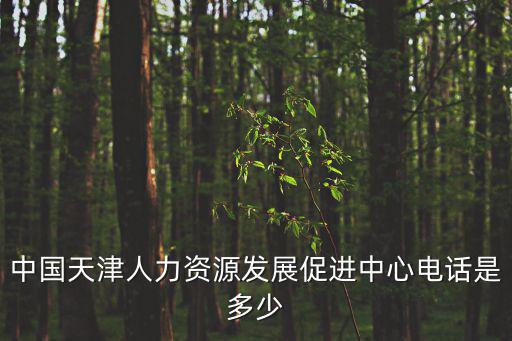 中國天津人力資源發(fā)展促進中心電話是多少