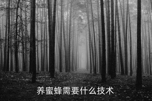 養蜜蜂需要什么技術