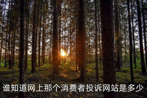 誰知道網上那個消費者投訴網站是多少