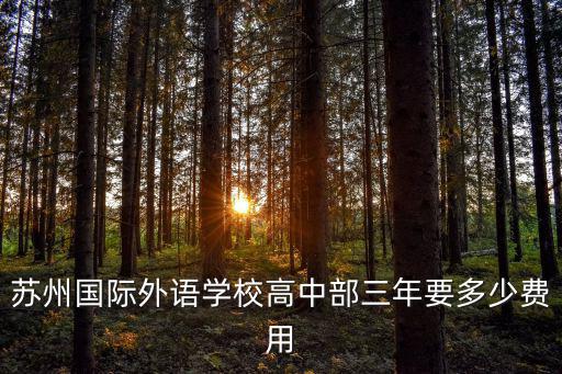 蘇州國際外語學校高中部三年要多少費用