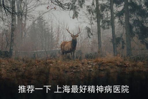 推薦一下 上海最好精神病醫院