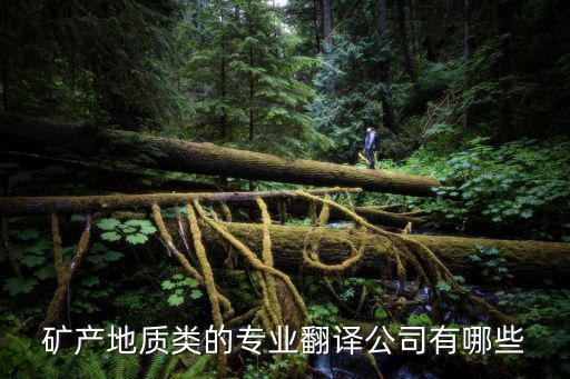 專業(yè)翻譯公司有哪些，專業(yè)的英語翻譯公司有哪些