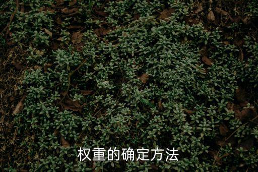 權重的確定方法