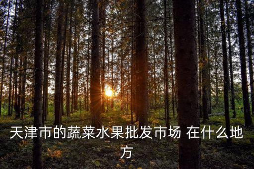 天津市的蔬菜水果批發市場 在什么地方