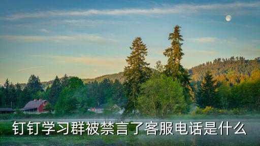 釘釘客服電話人工服務(wù)多少，釘釘學習群被禁言了客服電話是什么